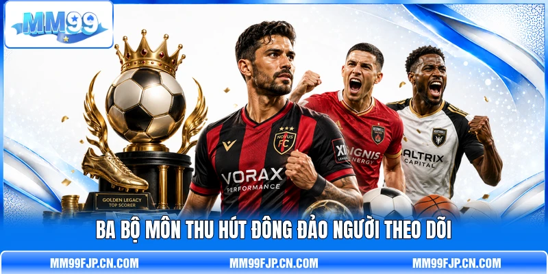 Ba bộ môn thu hút đông đảo người theo dõi Ba bộ môn thu hút đông đảo người theo dõi