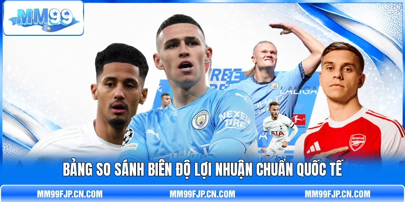 Bảng so sánh biên độ lợi nhuận chuẩn quốc tế Bảng so sánh biên độ lợi nhuận chuẩn quốc tế