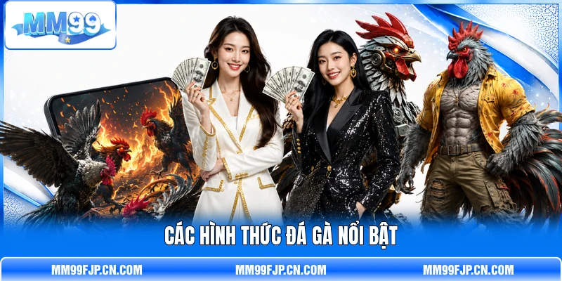 Các hình thức đá gà nổi bật Các hình thức đá gà nổi bật