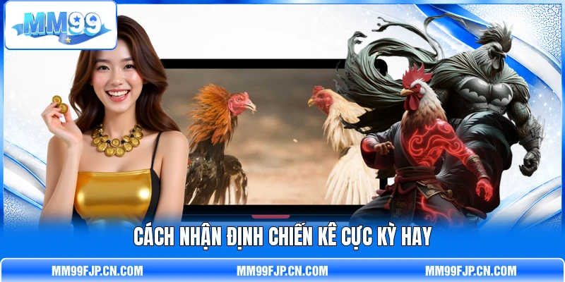 Cách nhận định chiến kê cực kỳ hay Cách nhận định chiến kê cực kỳ hay