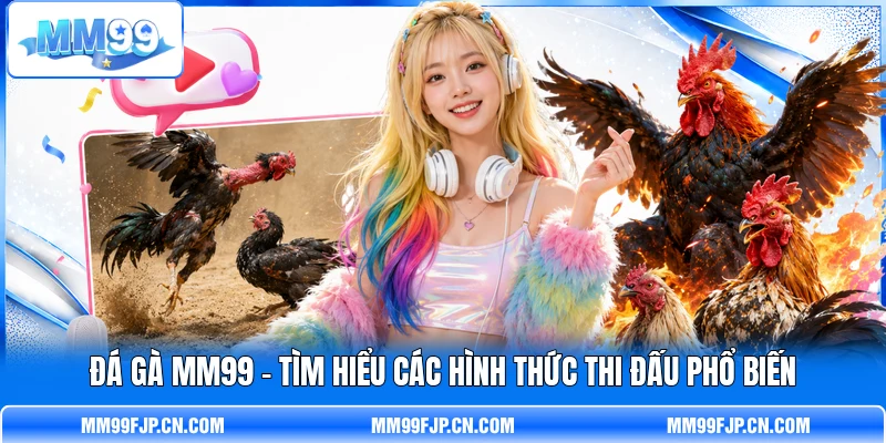 Đá Gà MM99 - Tìm Hiểu Các Hình Thức Thi Đấu Phổ Biến