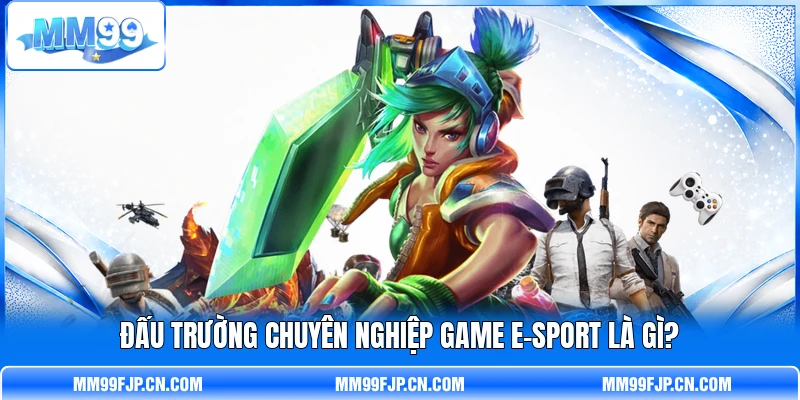 Đấu trường chuyên nghiệp game E-Sport là gì? Đấu trường chuyên nghiệp game E-Sport là gì?