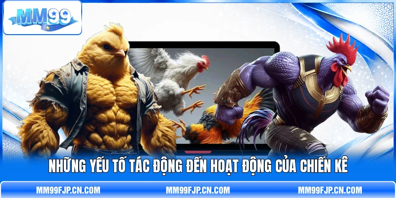 Những yếu tố tác động đến hoạt động của chiến kê