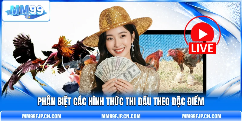 Phân biệt các hình thức thi đấu theo đặc điểm