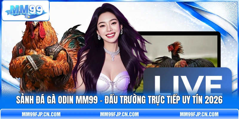 Sảnh Đá Gà ODIN MM99 – Đấu Trường Trực Tiếp Uy Tín 2026