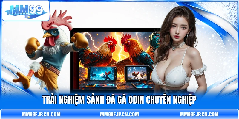 Trải nghiệm sảnh đá gà odin chuyên nghiệp Trải nghiệm sảnh đá gà odin chuyên nghiệp